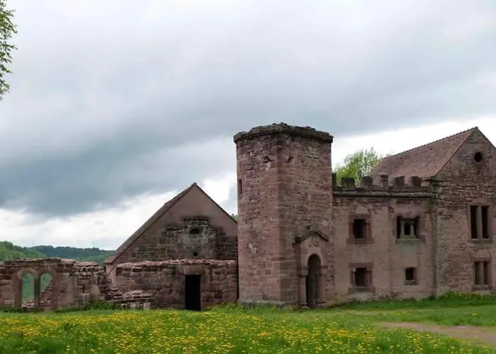 Zen Serenite * Haselbourg